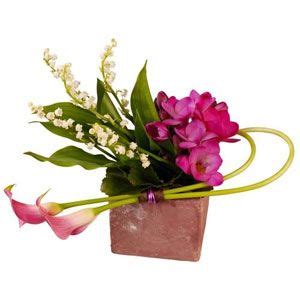 Divette Florajet En Arrangements Floraux Contemporains