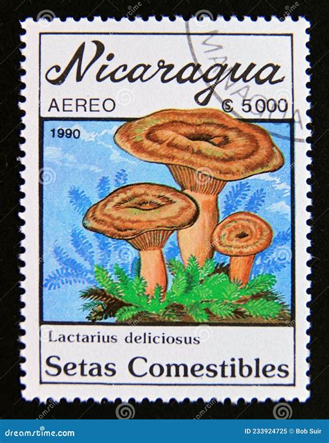 Lactarius Deliciosus Sliced Commonly Known As Saffron Milk Cap And Red