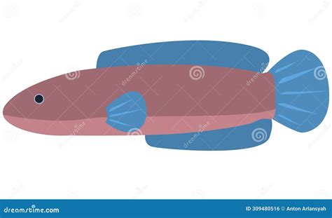 Snakehead Fish In A Pond Stock Photography 312150554
