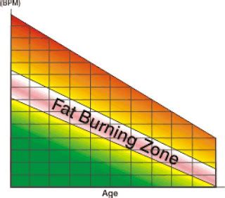 Belly Fat Burning Food: Fat Burning Zone Calculator