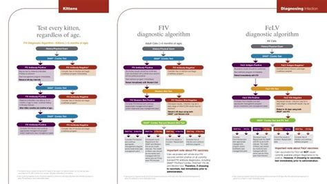 Idexx Snap Fiv Felv Combo Test Product Insert