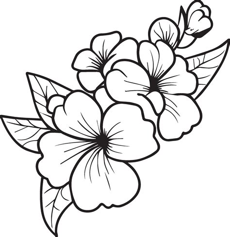 Outline print with blossoms primula flower, primrose bouquet leaves ...