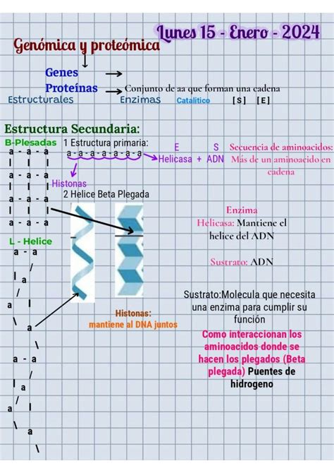 Solution Gen Mica Y Prote Mica Studypool