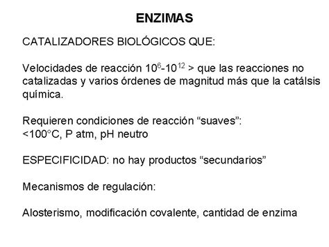 ENZIMAS CATALIZADORES BIOLGICOS QUE Velocidades De Reaccin 106