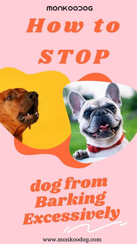 How To Stop Dog From Barking Excessively Stop Dog Barking Dog