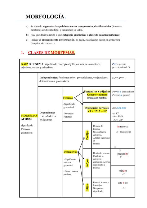 Esquema Morfología MorfologÍa A Se Trata De Segmentar Las Palabras