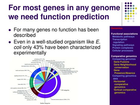 Ppt Comparative Genomics Powerpoint Presentation Free Download Id