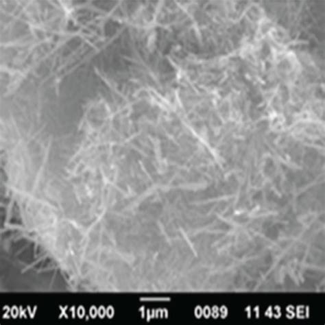 SEM Images Of MnNSs Prepared At 160C At Different Times A H1