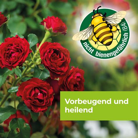 Protect Garden Curamat Az Rosen Pilzfrei Ml Kaufen Bei Obi