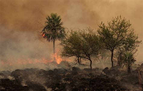 Dos Grandes Incendios Afectaron La Provincia De Corrientes Minuto