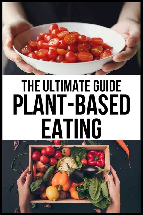 Plant Based Diet The Beginners Guide Plant Based Diet Plant Based