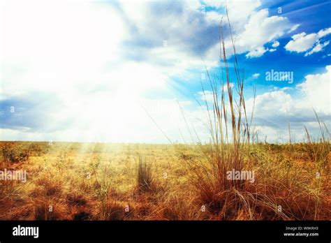 Scorching Sun Rays Of Sunlight Coming Through White Clouds Stock Photo