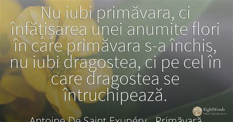 Wasii: Proverbe Despre Flori De Primavara