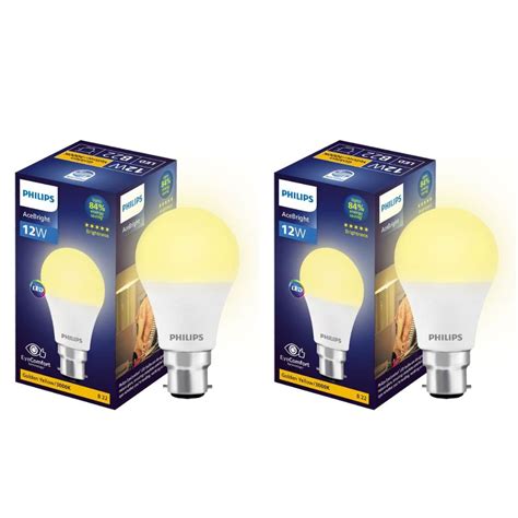 Buy Philips 12 Watt Led Bulb Acebright High Wattage Led Bulbbase B22