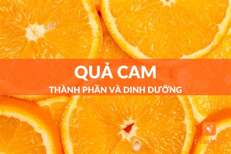 Quả Cam Thành Phần Dinh Dưỡng Và Tác Dụng Tuyệt Vời Btaskee