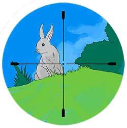 Rabbit Hunting Tips: How to Hunt Rabbits Like a Pro - Consumer Files