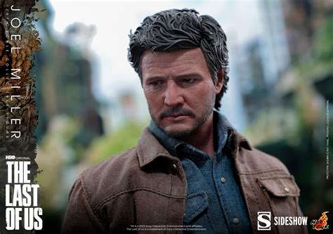 Joel Miller Sixth Scale Figure By Sideshow And Hot Toys Sideshow Collectibles