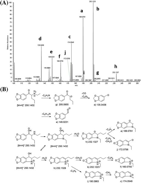 A Product Ion Spectrum And B Proposed Fragmentation Pathway Of