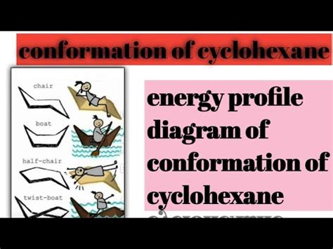 Conformation Of Cyclohexane Chair Boat Half Chair Twist Boat