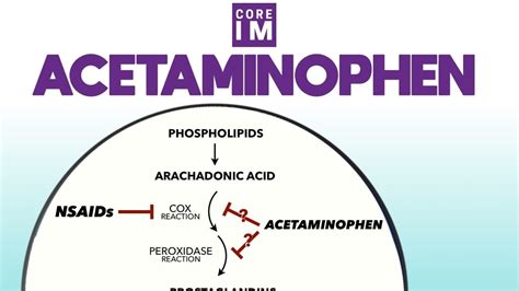 Understanding Acetaminophen How This Common Painkiller Works And Its