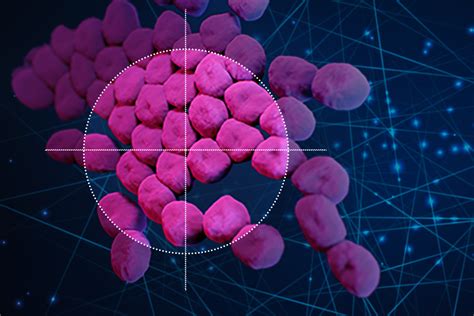 Using Ai Scientists Find A Drug That Could Combat Drug Resistant