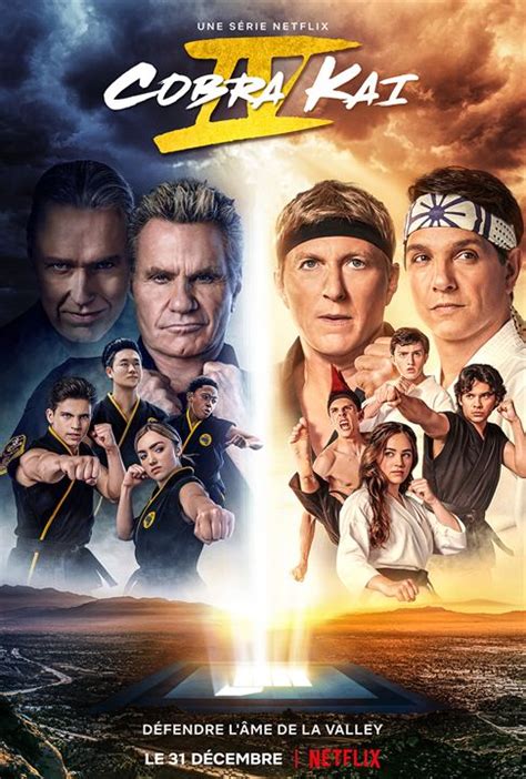 Poster Cobra Kai Saison Affiche Sur Allocin