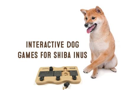 2023 S Top Toys For Your Adorable Shiba Inu Get Ready For Plenty Of