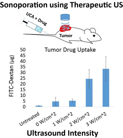 Research Image Guided Drug Delivery Lab