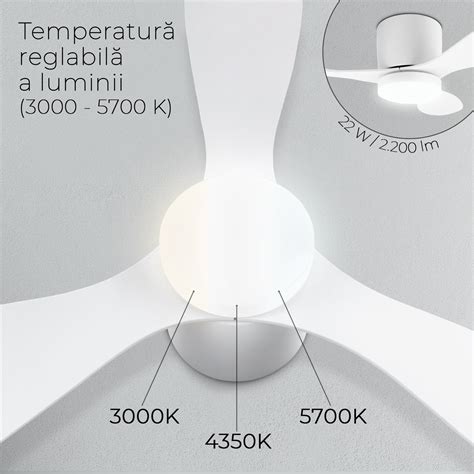 Ventilator De Tavan Cu Lustra Noaton Ww Fornax Cm Lampa