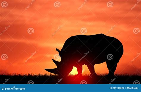 Rhinoceros Silhouette In Sunset Sky Rhino Endangered African Animal