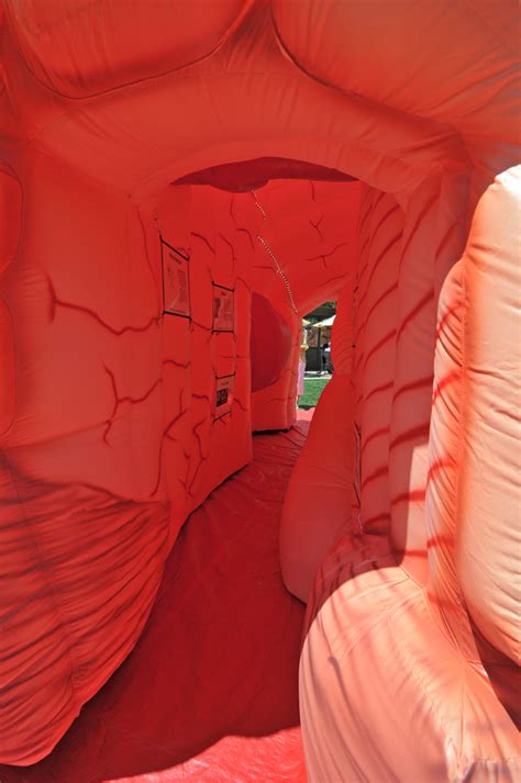 Inflatable Brain Exhibit For Healthcare Events The MEGA Brain