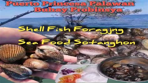 Ep Palawan Coastal Foraging Buhay Probinsya Mix Shellfish Sotanghon