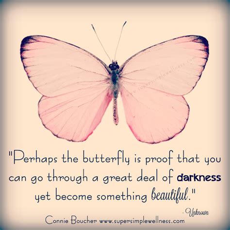 Perhaps The Butterfly Is Proof That You Can Go Through A Great