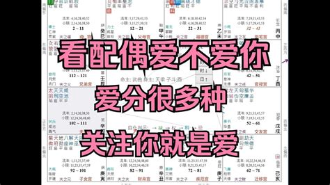 用紫微斗数看另一半爱不爱你。 Youtube