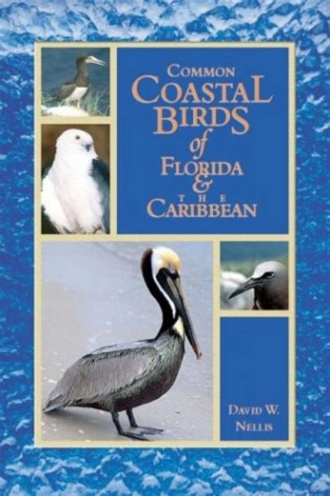 Common Coastal Birds Of Florida And The Caribbean NHBS Field Guides