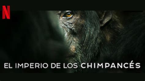 El Imperio de Los Chimpancés Serie Primer Temporada Trailer YouTube