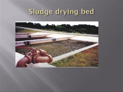 Sludge Treatment And Disposal