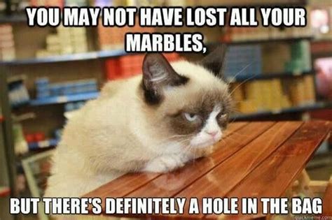 Marbles Grumpy Cat Grumpy Cat Humor Funny Cat Memes