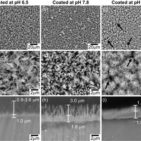 Xrd Diffraction Patterns Of The Uncoated And Coated Samples