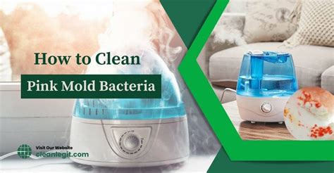 5 Easy Steps Remove Pink Mold In Humidifier Permanently