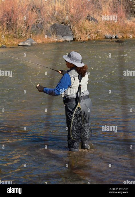 A Fisherwoman Or Female Fisherman Fly Fishes In The Rio Grande River