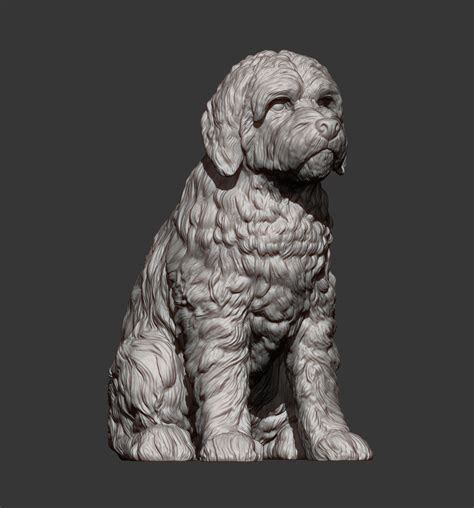 3d File Goldendoodle 3d Print Model 🐕 ・design To Download And 3d Print