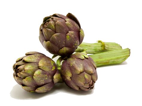 Artichokes Png Images Transparent Free Download