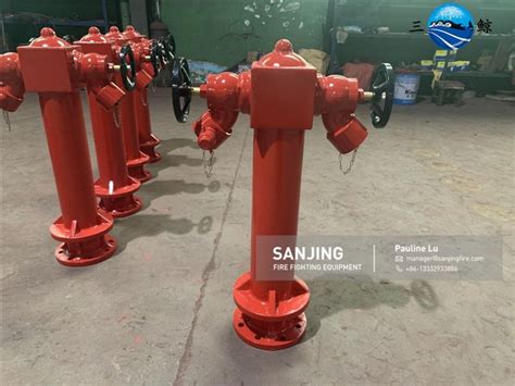 China Wet Pillar Hydrant Manufacturers Suppliers Factory Customized