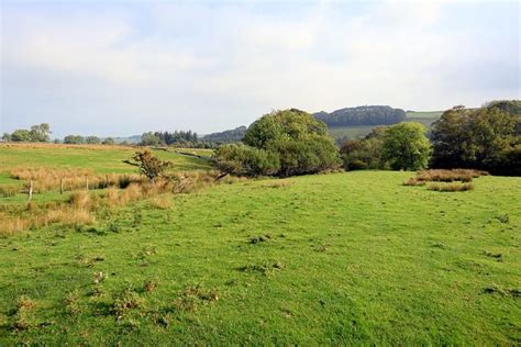 Pasture Above Black Cleugh © Andrew Curtis Geograph Britain And Ireland