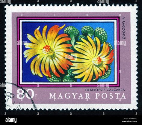 Hungary Post Mark Stamp Postage Stamps Flowers Plants Flora Flower