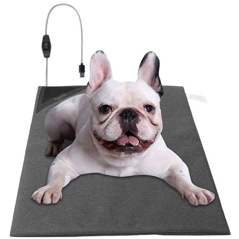 Best Dog Cooling Pad Reviews & Buying Guide (Jan. 2025) • Outlinist