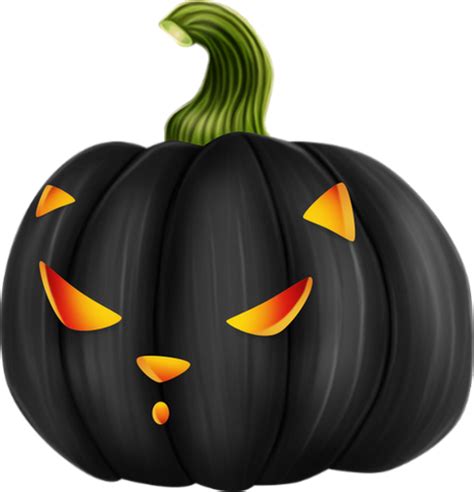 Tube Halloween Citrouille Png Chat Jack Olantern Png