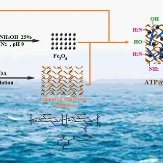 A Schematic Representation For The Fabrication Process Of Atp Fe O