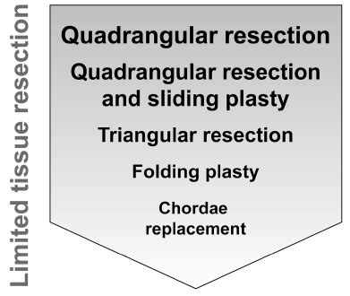 Scheme Showing Evolution Of Mitral Valve Repair Techniques From